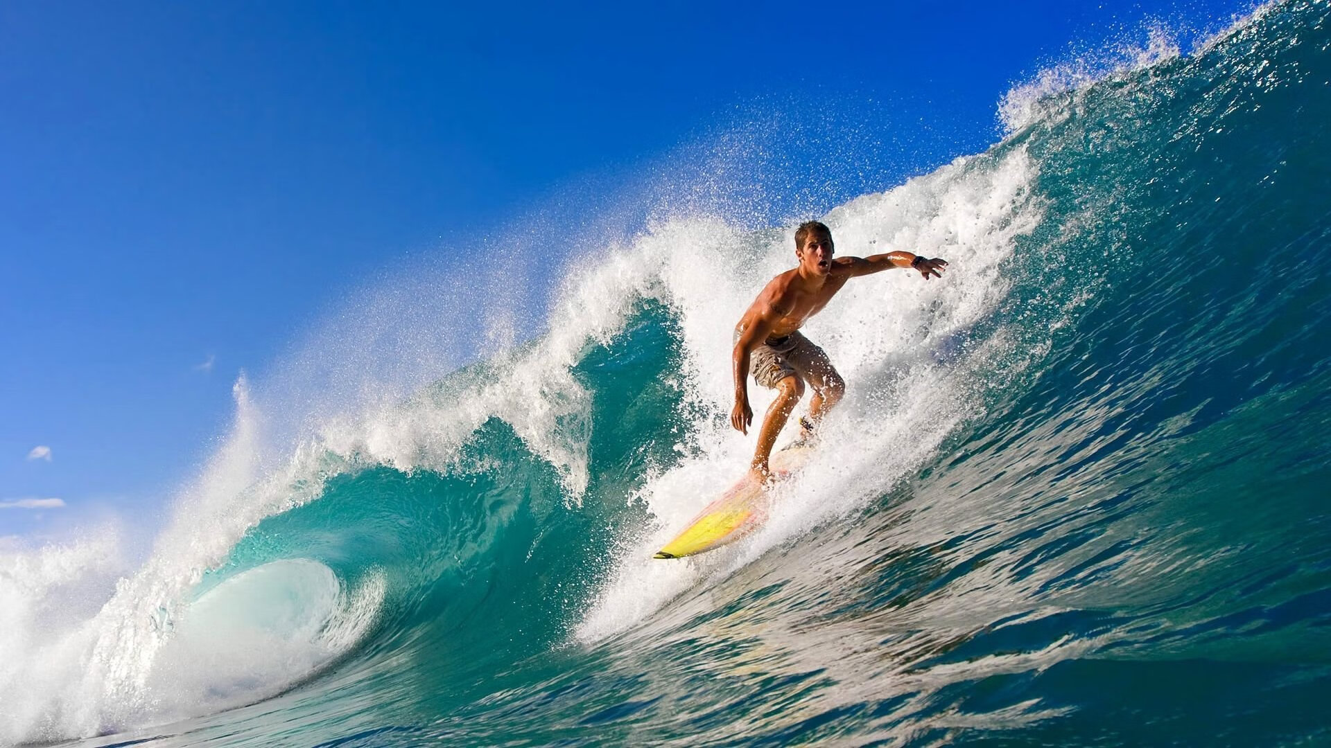 九游网页版入口-史上最年轻“冠军射手”，天赋成就未来，最年轻的射箭冠军